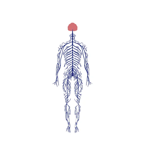 Neuropathy Treatment in Gachibowli, Hyderabad.